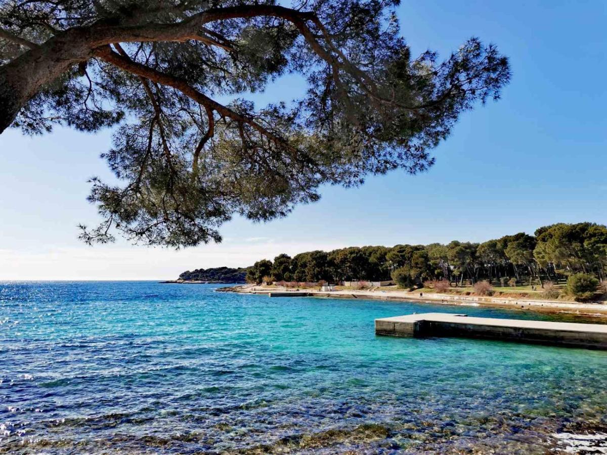Apartment Andreas - Amphitheater - Pula Exterior foto